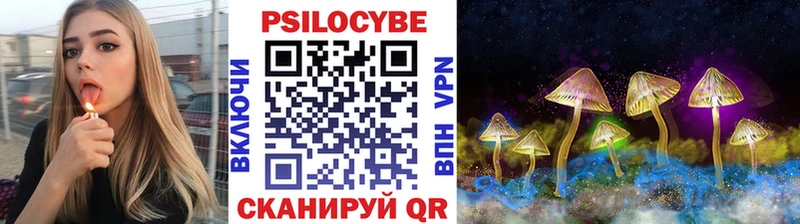 Псилоцибиновые грибы мицелий  Купить  Ленск 